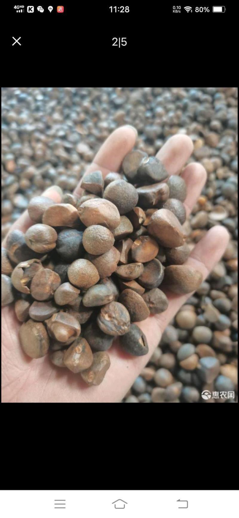 山茶油