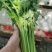 大量提供香芹