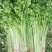 大量提供香芹