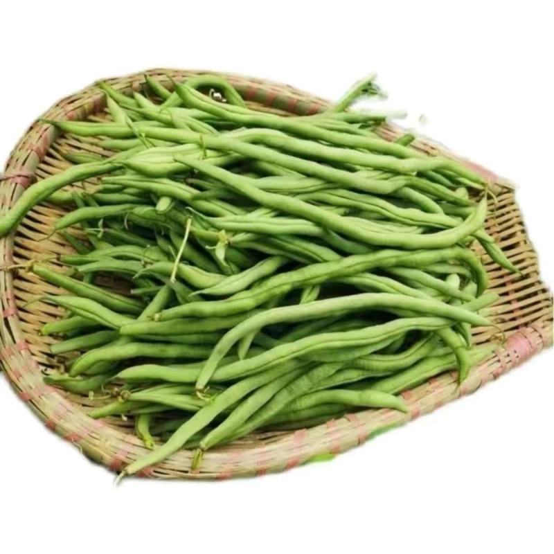 泰国架豆王一尺架豆王种子春秋均可播种农家庭院种植
