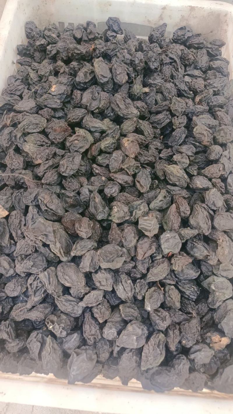 正宗新疆伽师西梅干全国发货，干净，保质保量