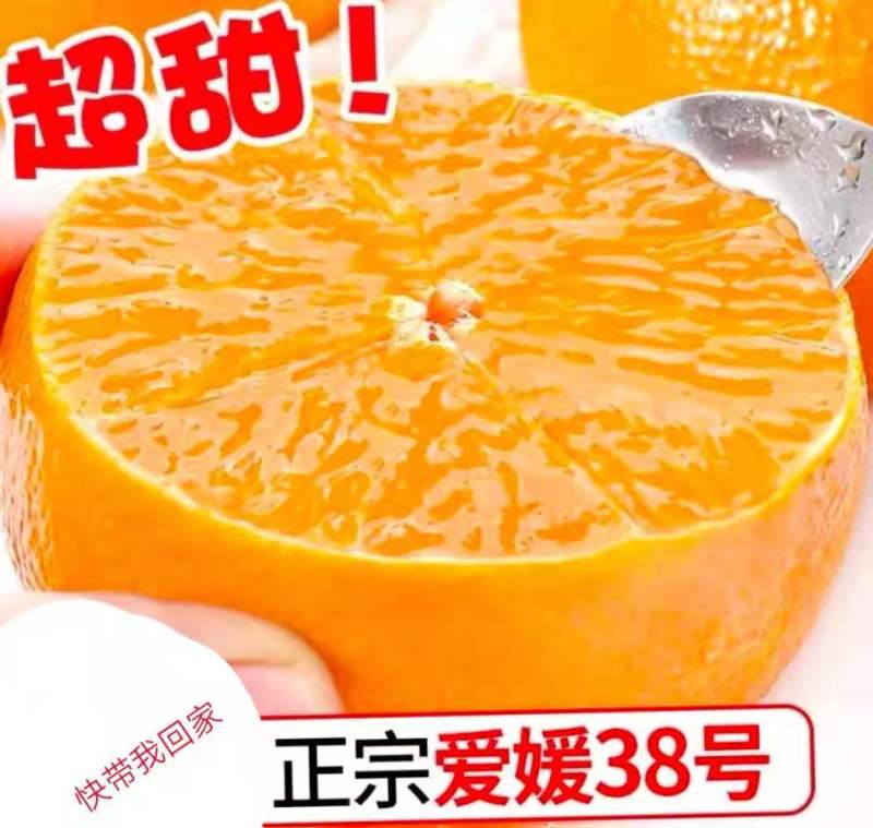 【牛商推荐】眉山爱媛38号果冻橙批发电商一件代发品质保障