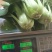 常年供应食堂菜，脱水厂，泡菜厂