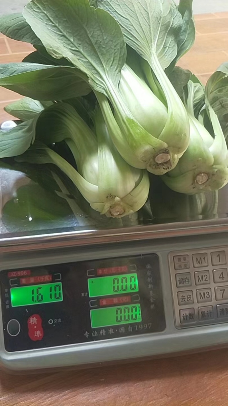 常年供应食堂菜，脱水厂，泡菜厂