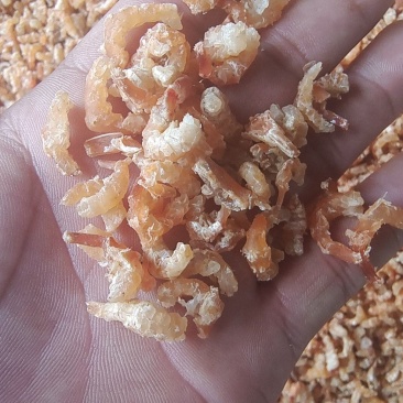 辉隆辉水产品有限公司专业加工金钩米，质量保证，欢迎合作。