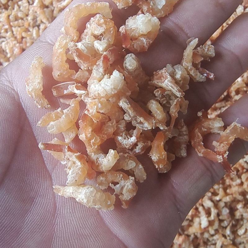 辉隆辉水产品有限公司专业加工金钩米，质量保证，欢迎合作。