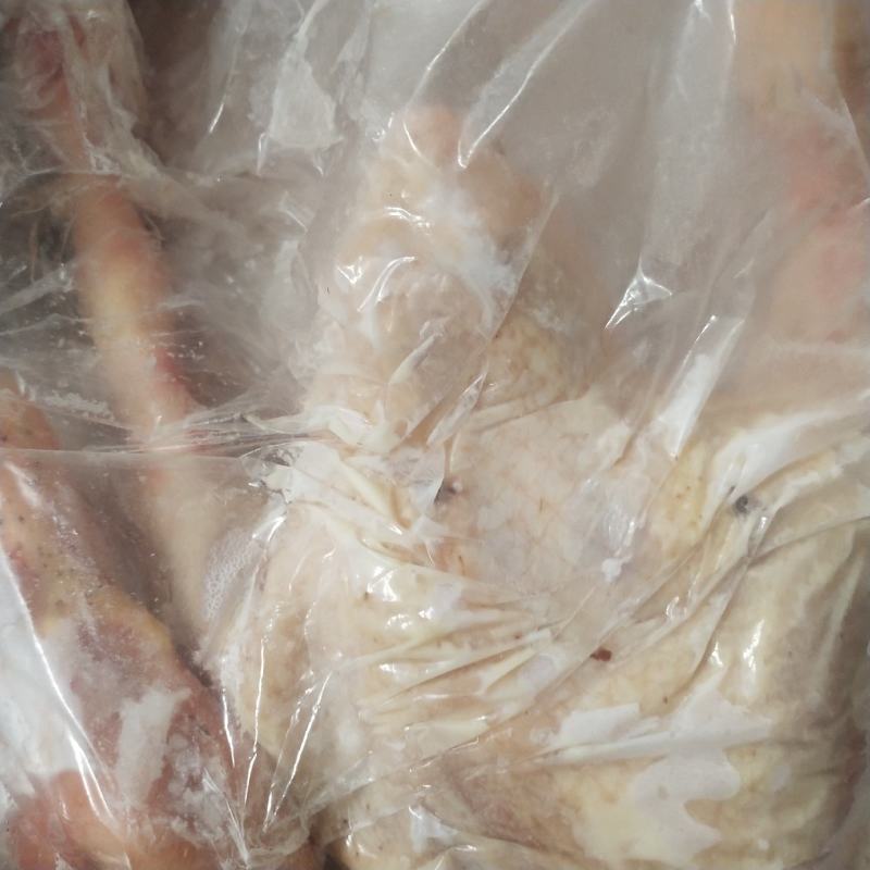 老鸭两年蛋鸭全规格！带掌带翅！一次合作终身朋友欢迎选购！