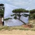 造型松造型油松庭院造型各种园林绿化工程造型松