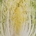 高山精品大白菜上市