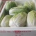 高山精品大白菜上市