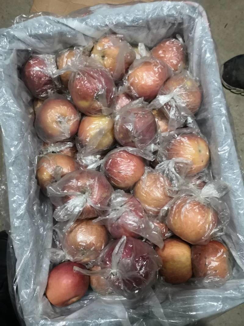 膜袋红富士苹果甜度好，果面干净，个头大，货源充足，供电商