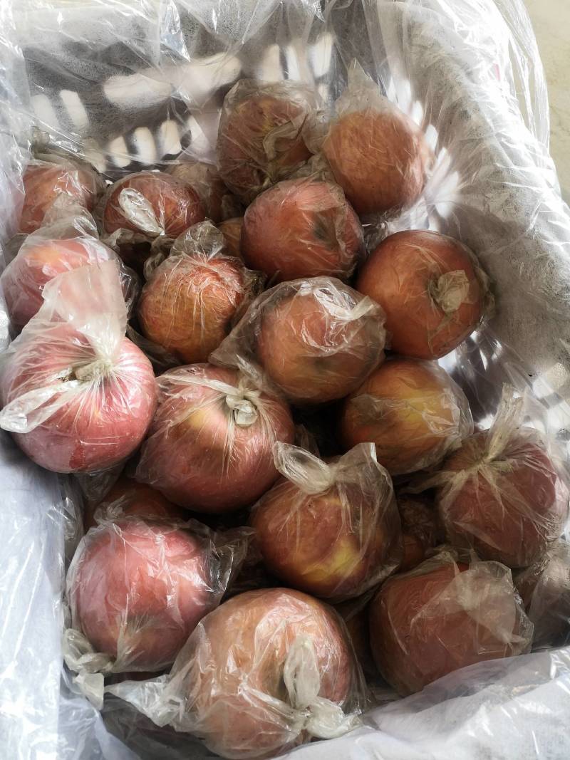 膜袋红富士苹果甜度好，果面干净，个头大，货源充足，供电商