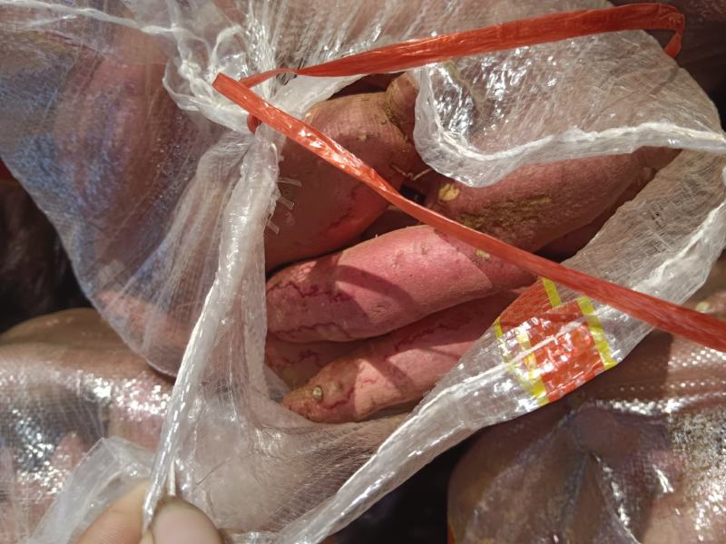 西瓜红红薯，种薯，商品薯，3两以上，袋装，箱装