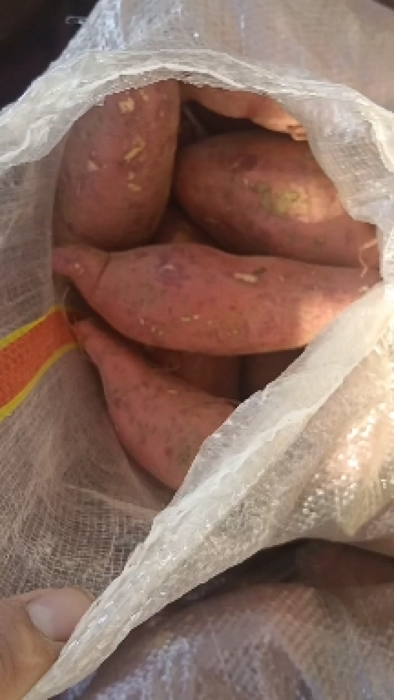 西瓜红红薯，种薯，商品薯，3两以上，袋装，箱装