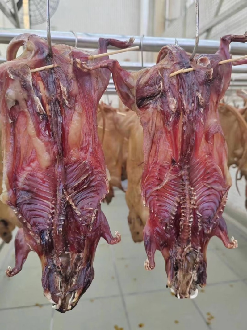 田鼠干，白条，活体长期供应食品，量大优惠