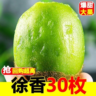 陕西杨凌猕胡桃