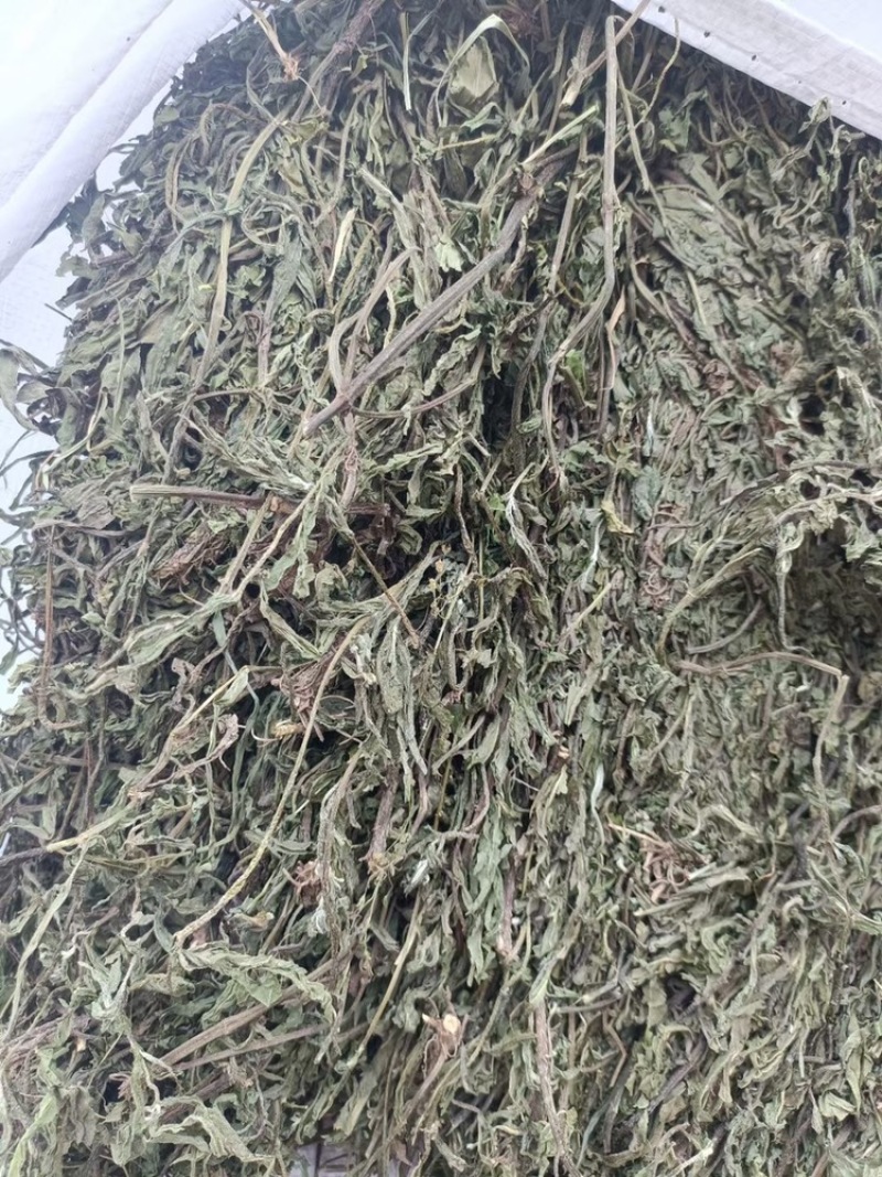 墨旱莲，本人常年大量供应一手货源。质量有保证。