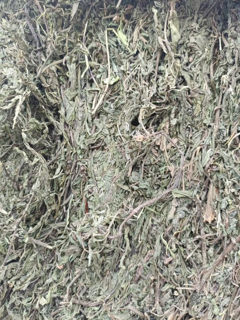 墨旱莲，本人常年大量供应一手货源。质量有保证。