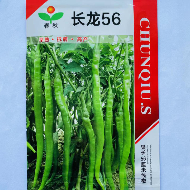 长龙56线椒种子品种，杂交一代青皮品种辣味中辣种子品种
