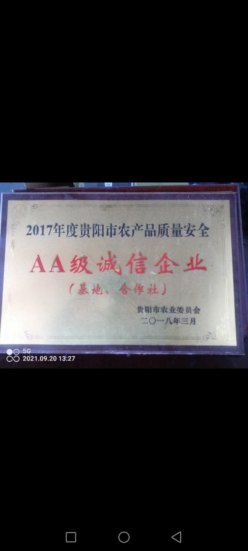 贵州猕猴桃品种贵长，合作社产地直发质优价廉欢迎选购。