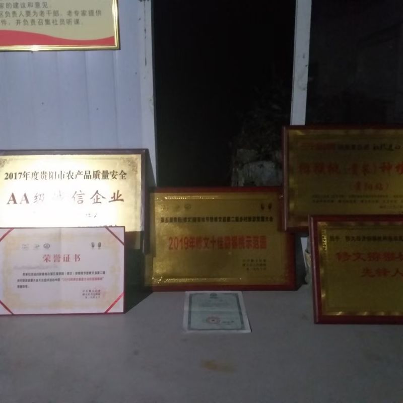 贵州猕猴桃品种贵长，合作社产地直发质优价廉欢迎选购。
