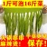 整棵裙带菜，螺旋海藻，清仓处理，高泡发，无杂质黄叶，批发