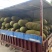 海南现摘现发黄肉干包菠萝蜜新鲜水果批发