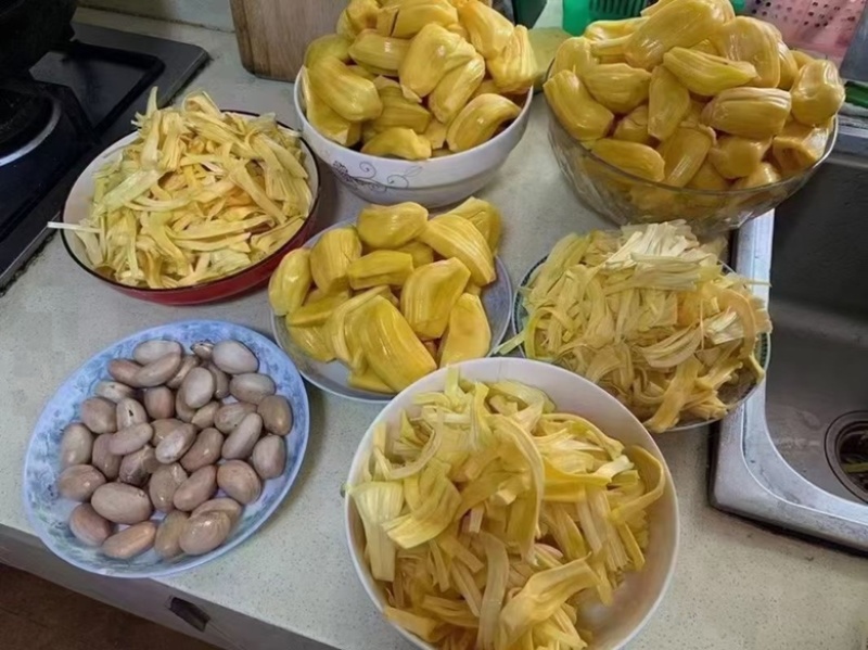 海南现摘现发黄肉干包菠萝蜜新鲜水果批发