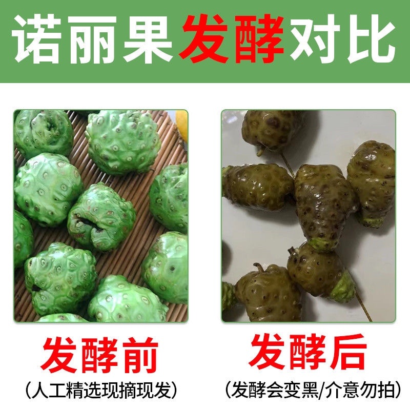 海南诺丽果干果鲜果发酵素批发直发