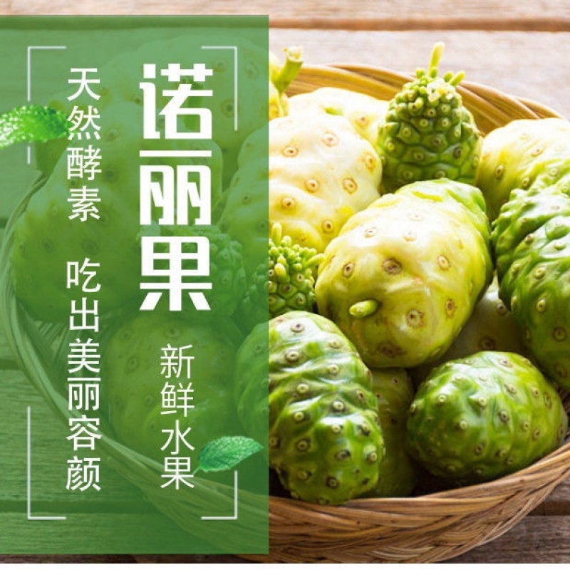 海南诺丽果干果鲜果发酵素批发直发