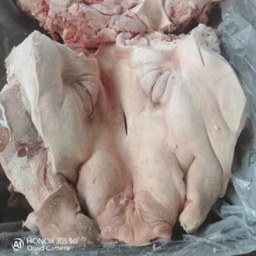 猪头肥猪812无耳猪肉冷冻猪副产品现货手续齐全