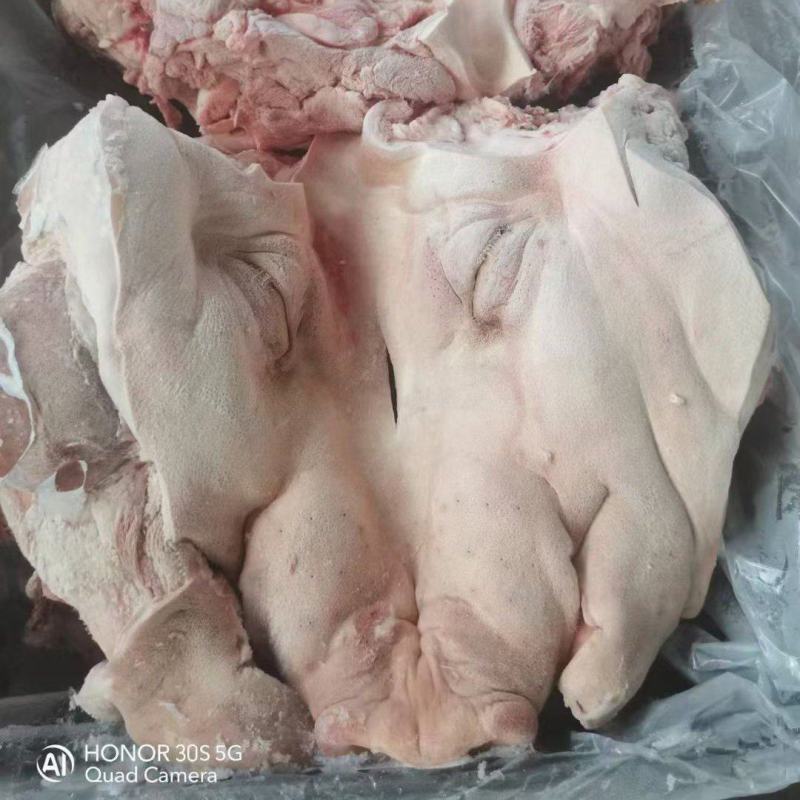 猪头肥猪812无耳猪肉冷冻猪副产品现货手续齐全