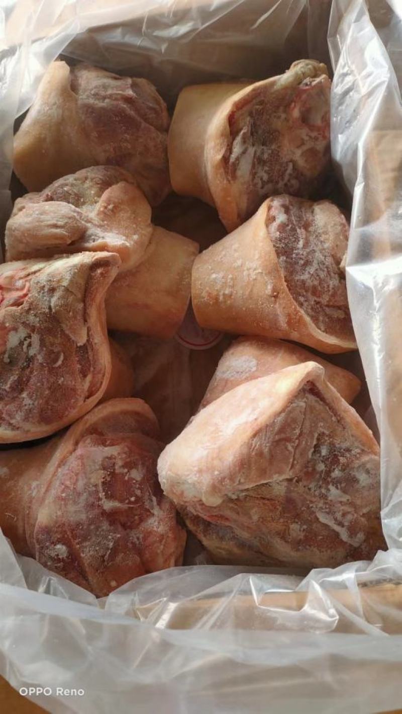 猪头肥猪812无耳猪肉冷冻猪副产品现货手续齐全