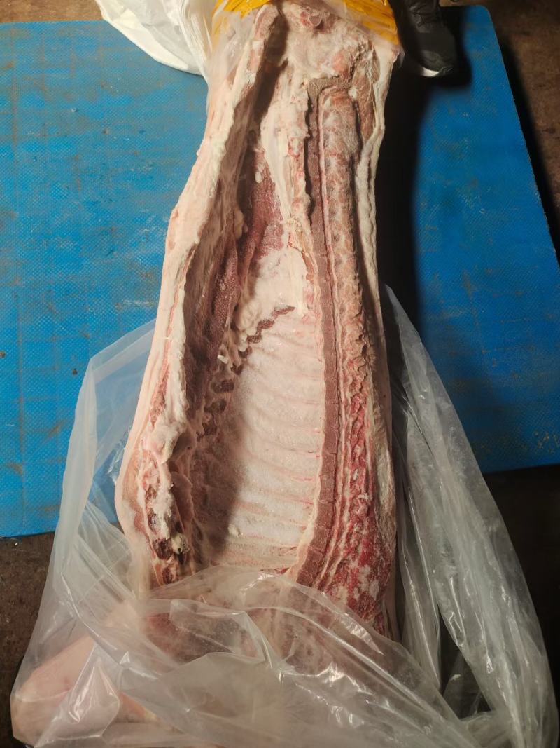 猪头肥猪812无耳猪肉冷冻猪副产品现货手续齐全
