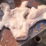 猪头肥猪812无耳猪肉冷冻猪副产品现货手续齐全