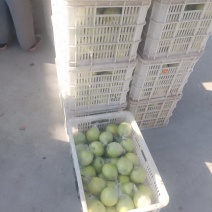 大鸭梨