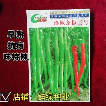洛椒条椒三号(100粒)早熟果型较光滑顺直浅绿,鲜食味辣