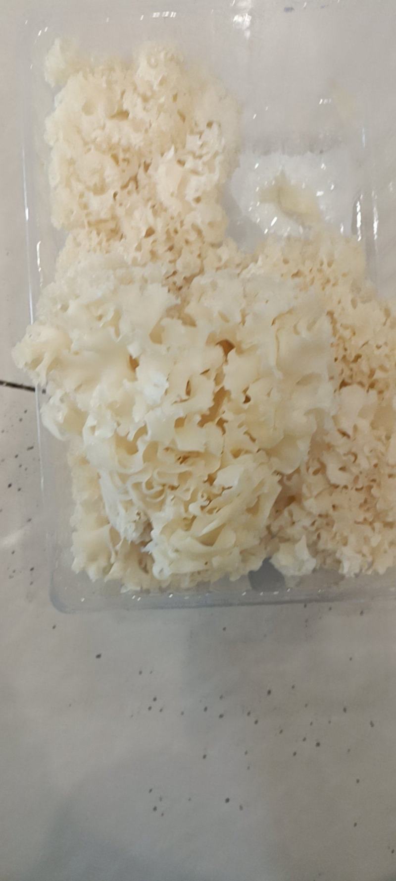 新鲜绣球菌2斤绣球菇食用菌菇凉拌煲汤火锅