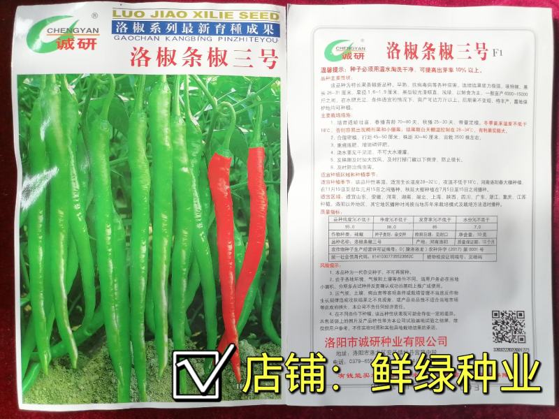 洛椒条椒三号（100粒）早熟果型较光滑顺直浅绿，鲜食味辣