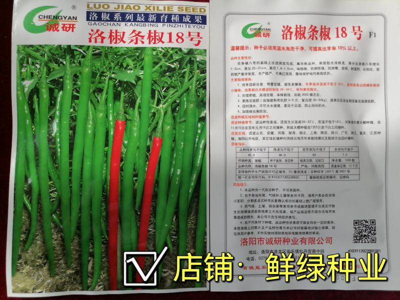 洛椒条椒三号（100粒）早熟果型较光滑顺直浅绿，鲜食味辣