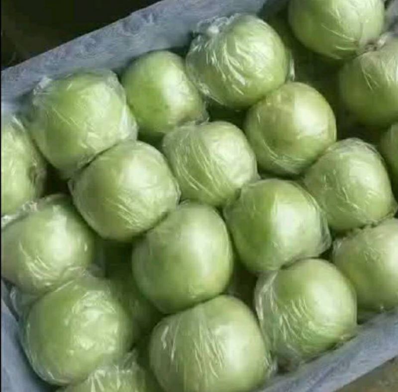 河北深州特产正宗王林苹果脆甜多汁精挑质量好货不等人