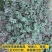 野生地锦草奶浆草当季新品干货量大从优深山野生农家自采