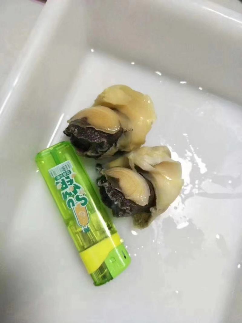 海螺肉，海螺头，工厂一手货源工厂，大量有货，一件代发