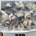 海螺肉，海螺头，工厂一手货源工厂，大量有货，一件代发