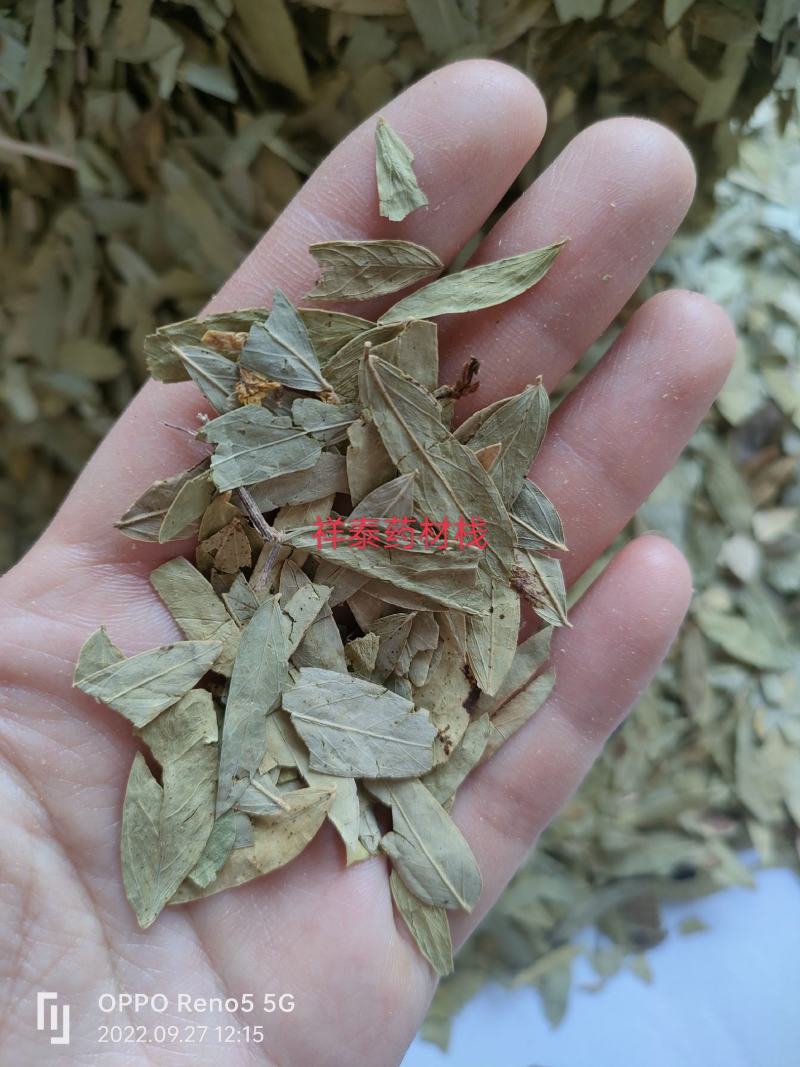 （热销）番泻叶泻叶祥泰中药材批发零售严于品质地道药材