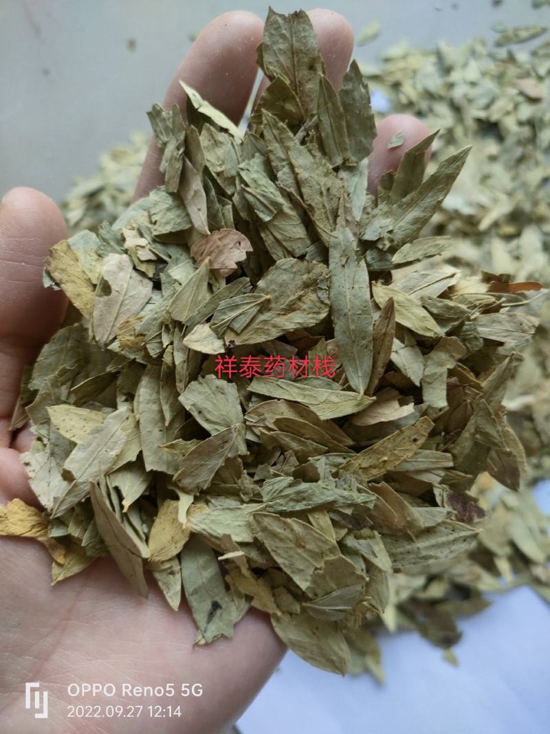 （热销）番泻叶泻叶祥泰中药材批发零售严于品质地道药材
