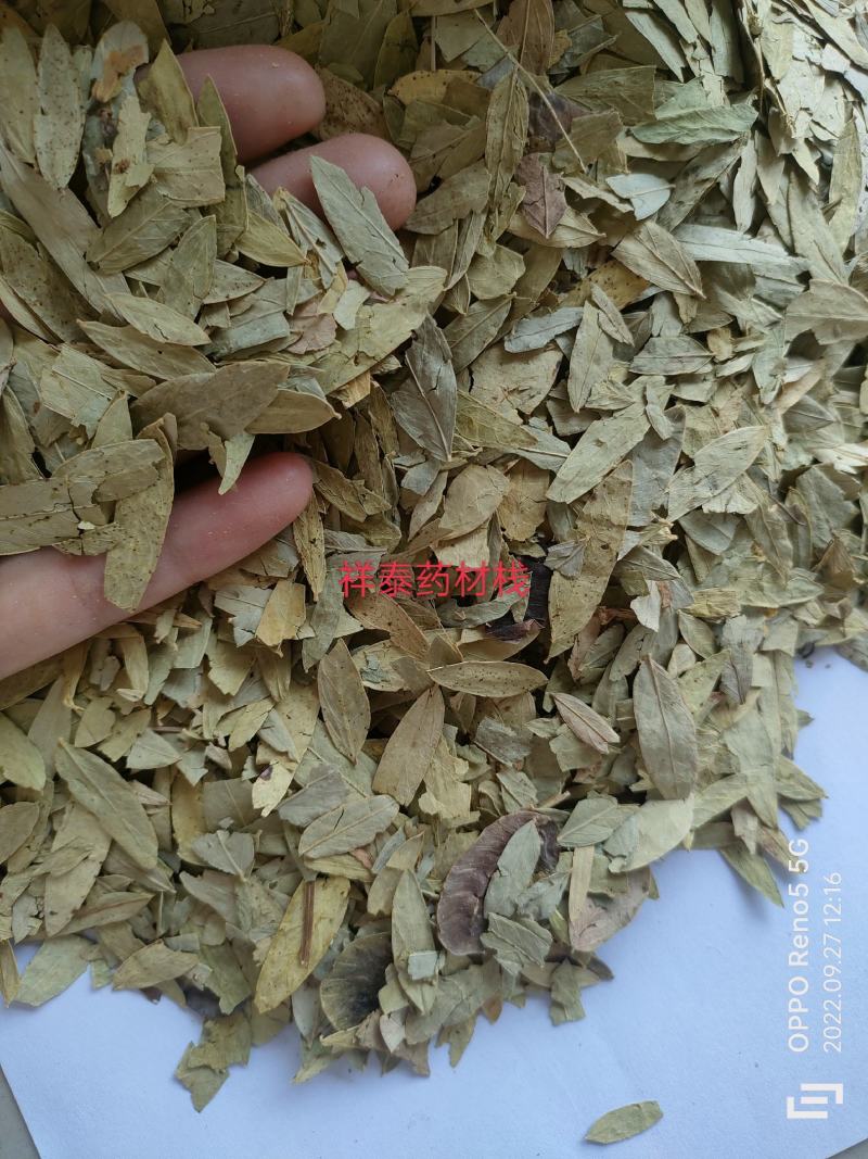 （热销）番泻叶泻叶祥泰中药材批发零售严于品质地道药材