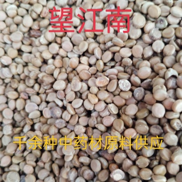 望江南，中药材望江南批发零售质量保证