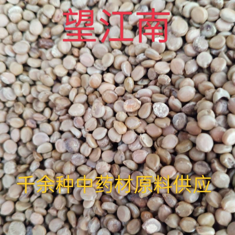望江南，中药材望江南批发零售质量保证