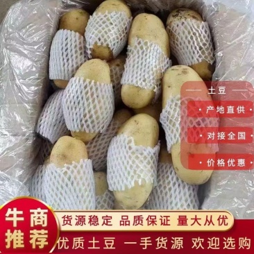 山东土豆产地批发一手货源诚信经营（全国发货)量大从优